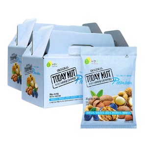 투데이넛 너트한줌 프리미엄 견과 선물세트 30개입, 600g, 2세트