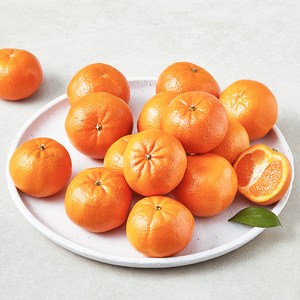 [로켓프레시] 헤일로스 미국산 만다린