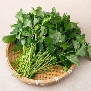 참나물, 1kg, 1봉