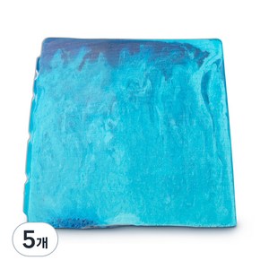 러쉬 아웃백 메이트 솝, 100g, 5개