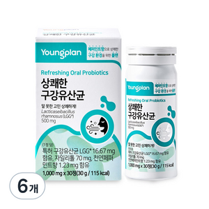 영진약품 상쾌한 구강 유산균, 30정, 6개