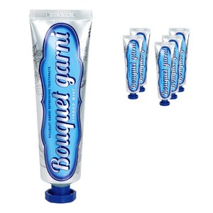 부케가르니 구취 케어 치약 스트롱 민트, 100g, 6개