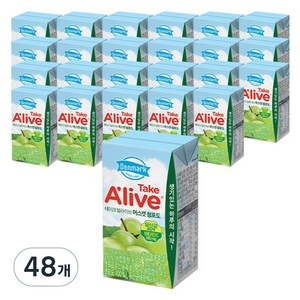 덴마크 테이크얼라이브 머스캣청포도 주스, 48개, 120ml