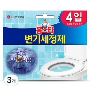 홈스타 변기 세정제 고체형 4p, 160g, 3개