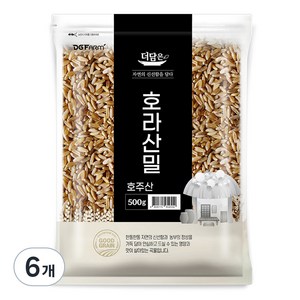 더담은 호라산밀, 500g, 6개