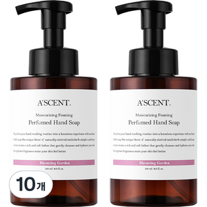 에이센트 퍼퓸드 버블 핸드워시 블루밍가든, 10개, 500ml