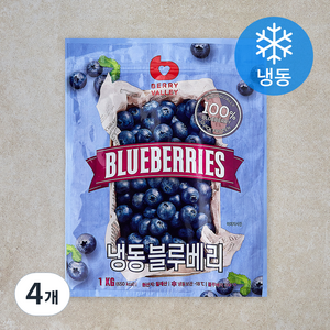 베리밸리 칠레산 블루베리 (냉동), 1kg, 4개