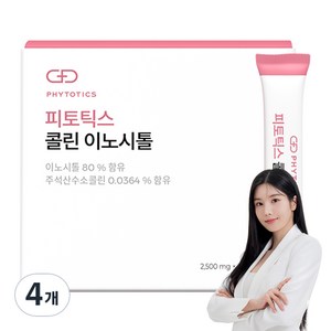 피토틱스 콜린 이노시톨 60p, 150g, 4개
