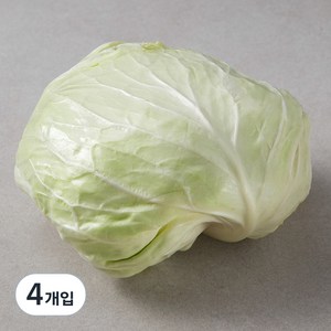 국내산 양배추, 1개입, 4개