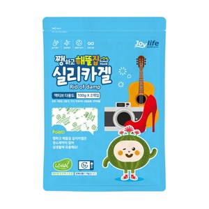 쨍하고해뜰집 실리카겔 액티브다용도 습기제거제 부직포 100g x 5p, 500g, 1개