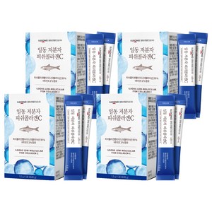 일동생활건강 저분자 피쉬콜라겐C, 45g, 4개