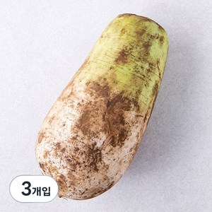 곰곰 친환경 무, 1개입, 3개