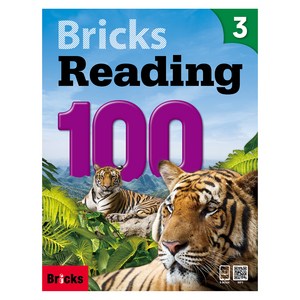 Bricks Reading 100, 3
