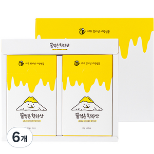 꿀먹은한라산 제주 벌꿀 스틱 20p, 200g, 6개