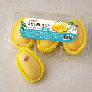 곰곰 필리핀산 망고, 750g, 1개