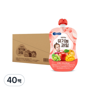 베베쿡 처음먹는 유기농 과일 100ml, 40개
