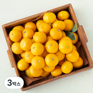 곰곰 당도선별 한입 감귤, 2.5kg, 3박스