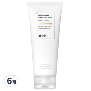 디엘스킨 퍼펙트 딥 클렌징 폼, 150g, 6개
