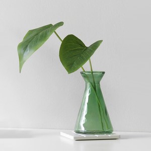 블루밍앤미 미니 그린 leaf & clean 유리병 세트