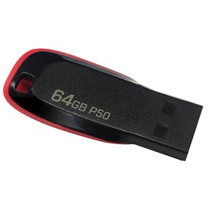 플레이고 USB 메모리 P50