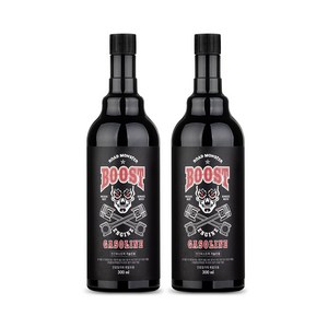 로드몬스터 가솔린용 엔진부스트팩 300ml, 2개, 가솔린/휘발유
