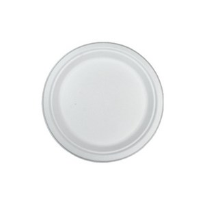 냅킨코리아 사탕수수 종이접시 225 x 20 mm, 1개, 125개