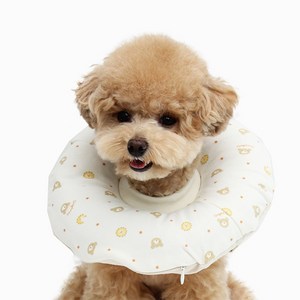 이츠독 강아지 홈케어링 넥카라 곰고미 M, 100g, 1개