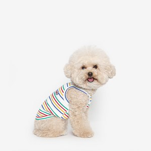 투스투스 강아지 무지개 끈나시 여름옷, 멀티