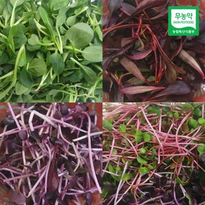 자연미가 어린잎채소 200g, 1개