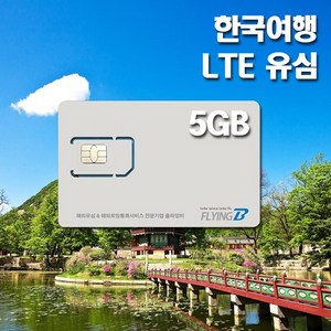 한국여행유심 SKT / KT통신망 30일 데이터전용, 30일 LTE 5GB
