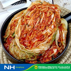 전라도 해남 땅끝마을 농협 포기김치 3kg 100% 국산 농산물 김장 배추 김치, 1개