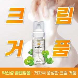 뷰디아니 퓨어 포밍 페이셜 클렌징 폼, 150ml, 1개