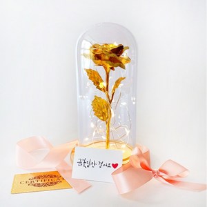 금 장미 꽃 무드등 기념일 생신 생일 선물, 혼합색상
