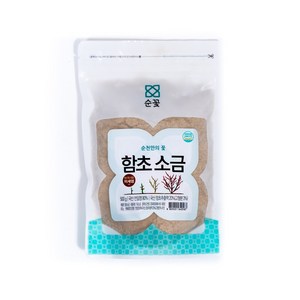 순꽃 함초소금 미세염 500g, 1개