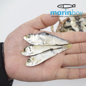 마린보이푸드 국산 디포리 500g, 1개