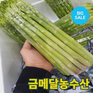 금메달농수산 직매입 자체선별 프리미엄 국내산 생 아스파라거스, 1개, 1kg