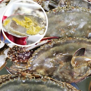 [산지직송] 국내산 100% 수율과 알 당일조업 연평도 봄 활꽃게, 숫꽃게1kg, 1개