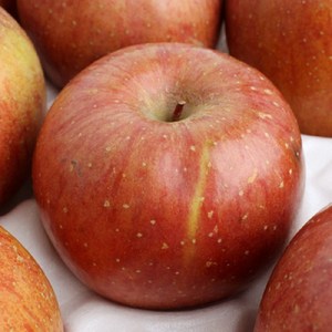 [아리팜] 가정용 꿀 부사 사과 3kg, 1개, 사과 3kg(9~11과)