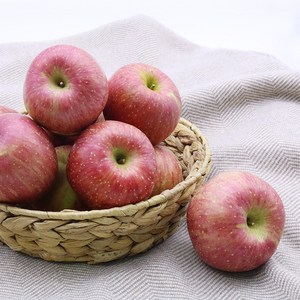 경북 사과 햇 부사 사과 가정용/중소과, 1개, 5kg