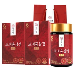 천지양 100% 국내산 6년근 고려 홍삼정 골드 240g 쇼핑백, 2개