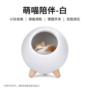 스탠드 작은애완동물 고양이 분위기 무드등 셀럽 LED USB귀여운 거실 잠자는 침대헤드 여자선물 신한카드기프트