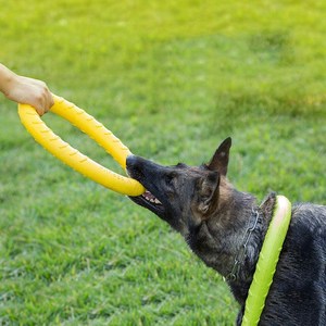 강아지 소형 중형 대형견 터그놀이 이갈이 치석제거 장난감 링, 터그링 / L(29cm)