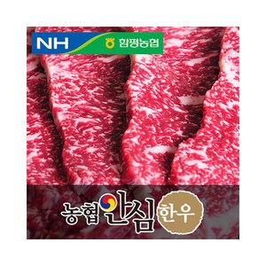 농협안심한우 채끝살, 1개, 500g 구이용(1등급)