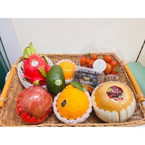 과일구독 정기배송 혼합과일 제철과일 아침식사대용, 1인