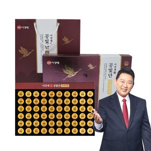 이경제 공빛단 건강환 공진 침향 녹용 숙지황 활력 단 60환, 1개, 240g