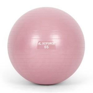 [바디포유] IW 밸런스 파스텔 짐볼 55cm 65cm 75cm, 55cm [와일드 로즈]