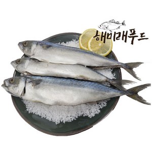 [바다미래] 국내산 간고등어 손질 자반고등어, 1.국내산 간고등어 10마리