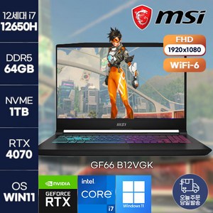 [MSI] 노트북 정품 win11 설치 GF66 B12VGK (451) i7-12650H (RTX4070) MSI 최신 게이밍 고사양 노트북, 블랙, MSi GF66 B12VGK (451), 코어i7, 1TB, 64GB, WIN11 Pro
