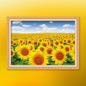 500피스 직소퍼즐+액자세트 - 푸른 하늘 해바라기 들판 (액자포함), 혼합색상