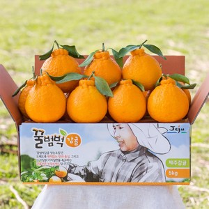 제주 꿀범벅 한라봉 4.5kg 중과(16-25)